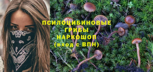 амфетамин Абинск