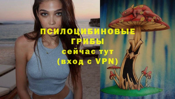 тгк Абдулино