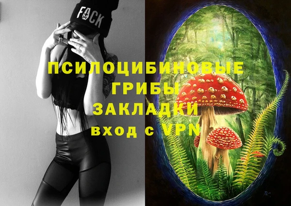 mix Абаза